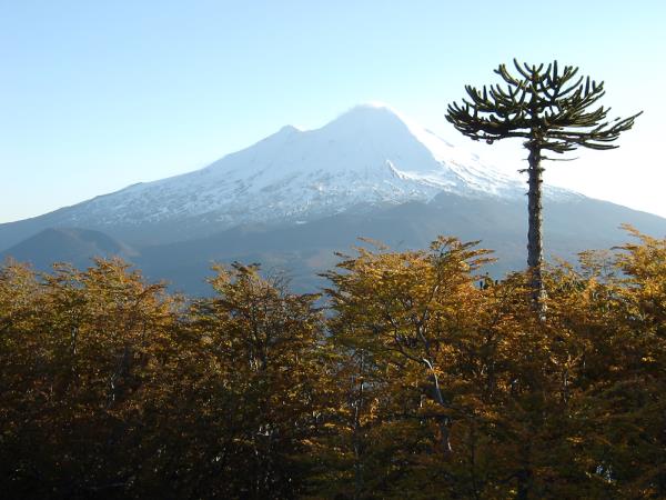 Grand tour of Patagonia holiday
