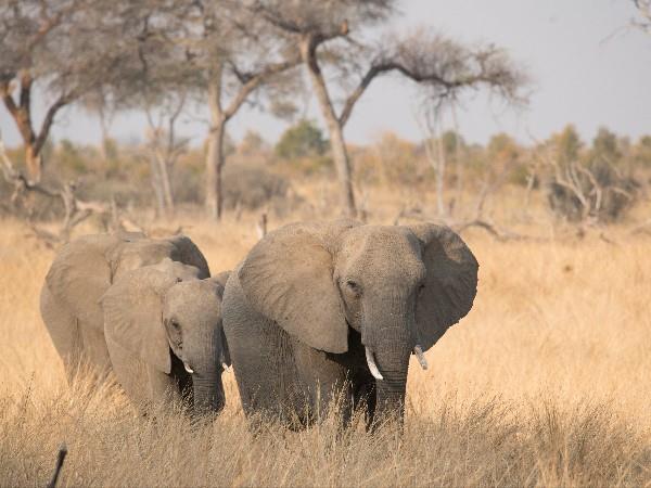 Luxury Zimbabwe holiday