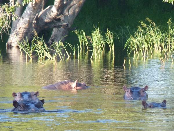 Luxury Zimbabwe holiday