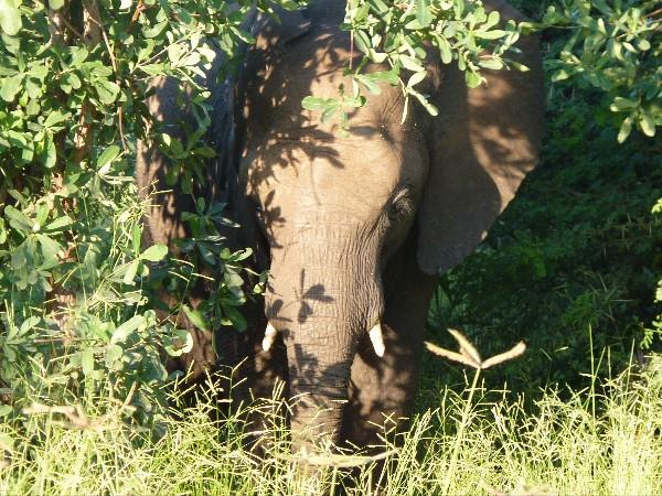 Zimbabwe highlights holiday