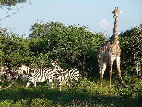 Zimbabwe highlights holiday