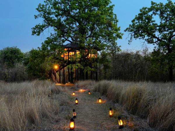 West-central India wildlife holiday