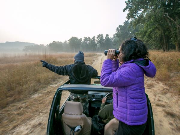 Bandhavgarh Tiger Reserve lodge