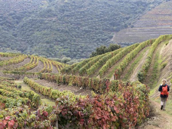 Grand tour of Portugal holiday