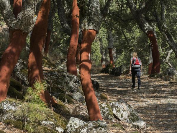 Grand tour of Portugal holiday