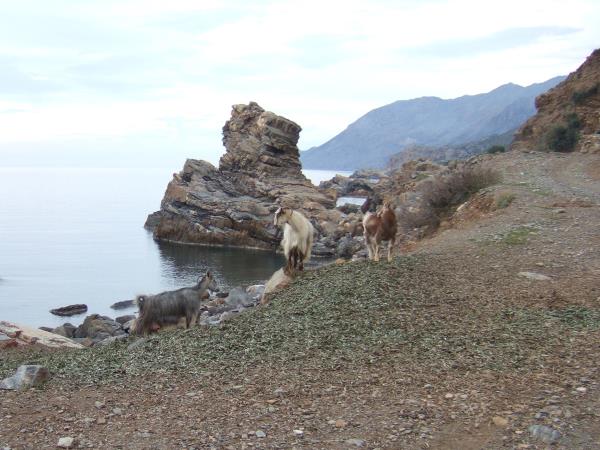 Walking and painting holiday in Crete