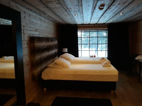 Helsinki, Saint Petersburg and Lapland holiday