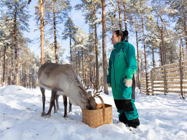 Helsinki, Saint Petersburg and Lapland holiday