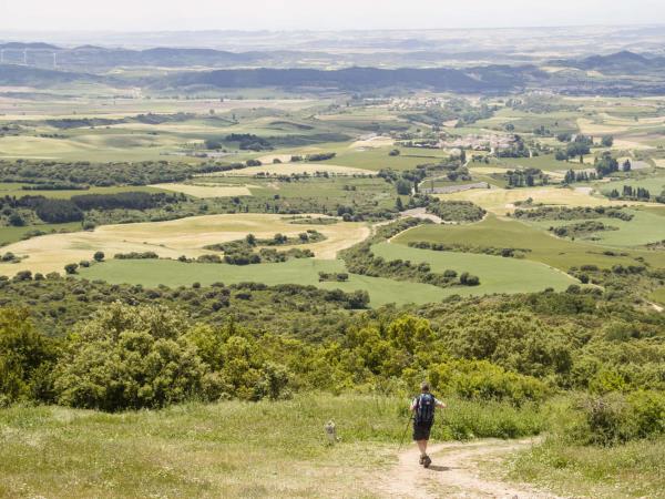 Camino de Santiago inn to inn walking holiday