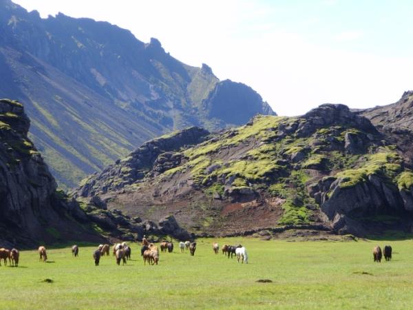Horse riding holiday in Iceland, 5 days