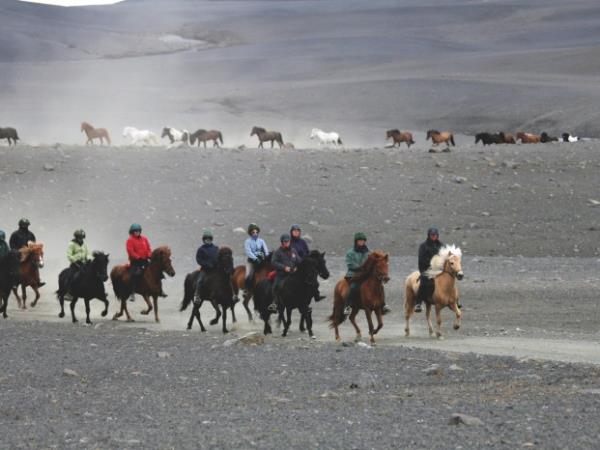 Horse riding holiday in Iceland, 5 days