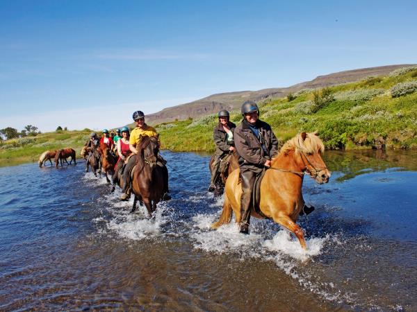 Horse riding holiday in Iceland, 5 days