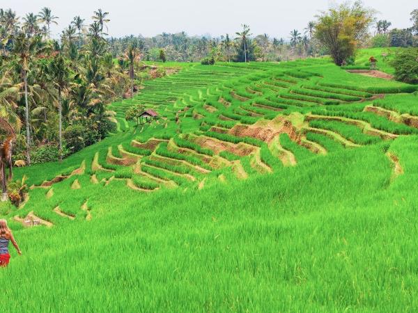 Indonesia family holiday, tailormade
