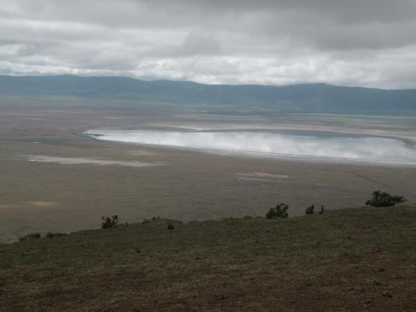 Tanzania safaris, northern circuit