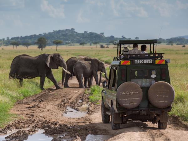 Tanzania family safari and Zanzibar holiday
