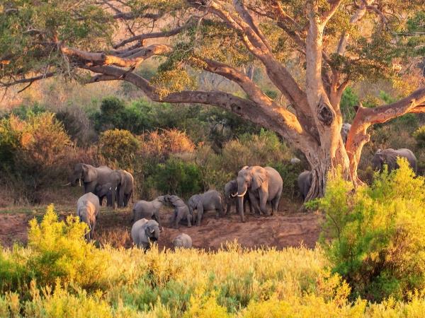 9 day Botswana Safari