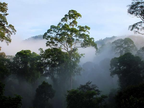 Borneo holiday, Land below the wind