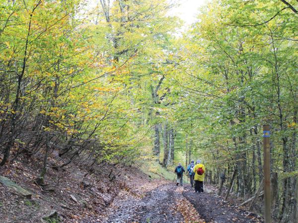 Best of the Camino walking holiday