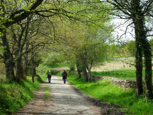 Best of the Camino walking holiday