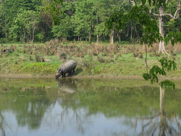 India and Nepal tour