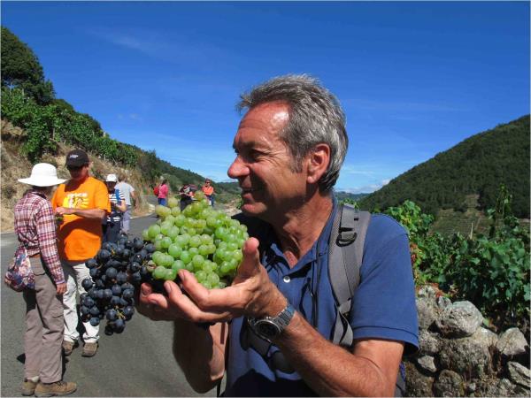 Best of the Camino walking holiday