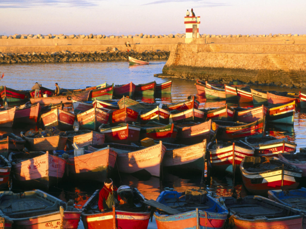 Morocco budget tour, highlights of Morocco
