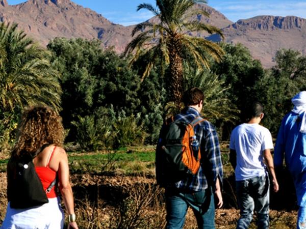 Morocco budget tour, highlights of Morocco