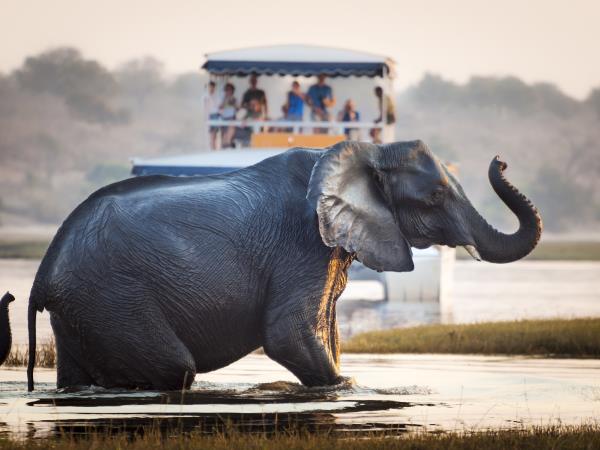 Victoria Falls to Cape Town small group tour