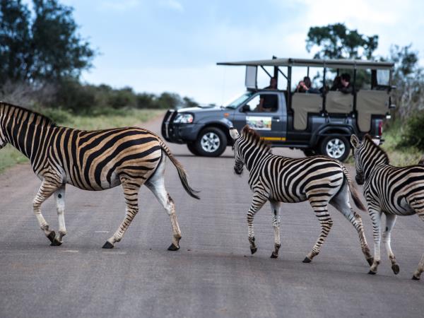 Victoria Falls to Cape Town small group tour