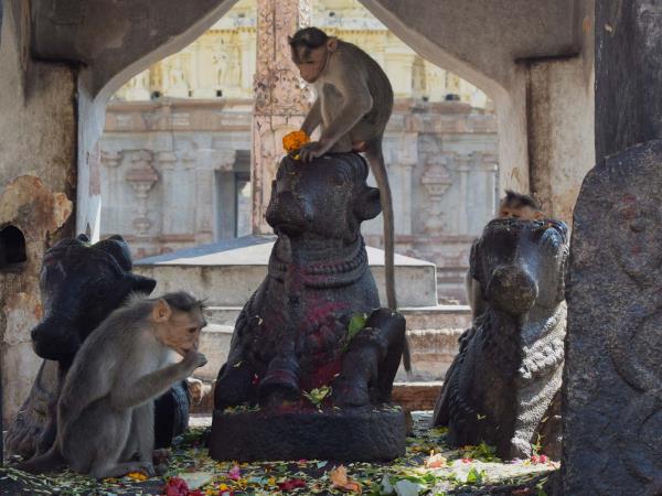 Southern India tour, Hampi & Badami