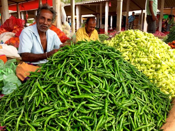 Sri Lanka group tours, Hidden Sri Lanka