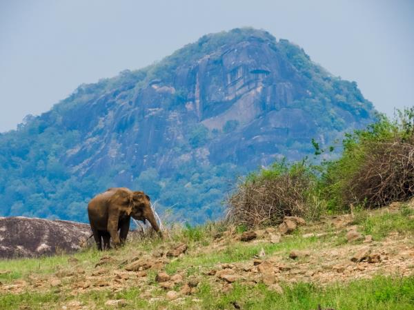 Sri Lanka group tours, Hidden Sri Lanka