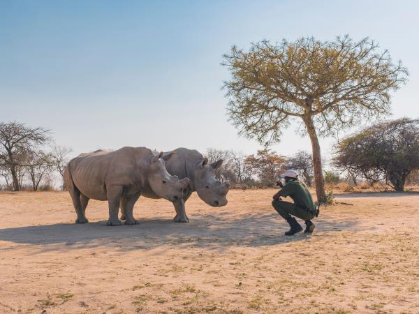 Family safari in Botswana and South Africa