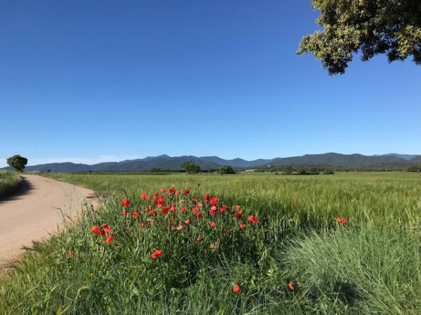 Catalonia self guided cycling tour, Spain