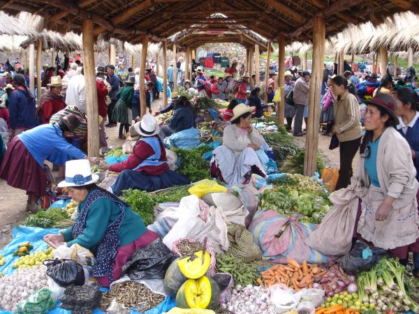 Culinary tour of Peru