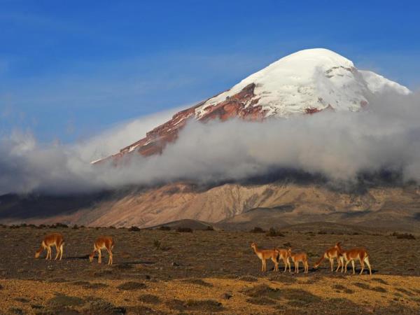 Ecuador adventure & culture holiday