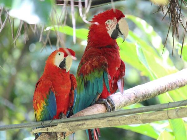 Ecuador adventure & culture holiday