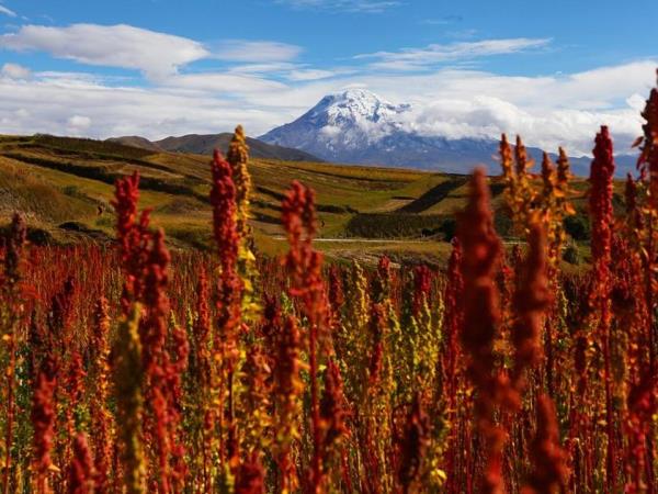 Ecuador adventure & culture holiday