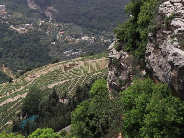 Lebanon group tours, vineyards and valleys