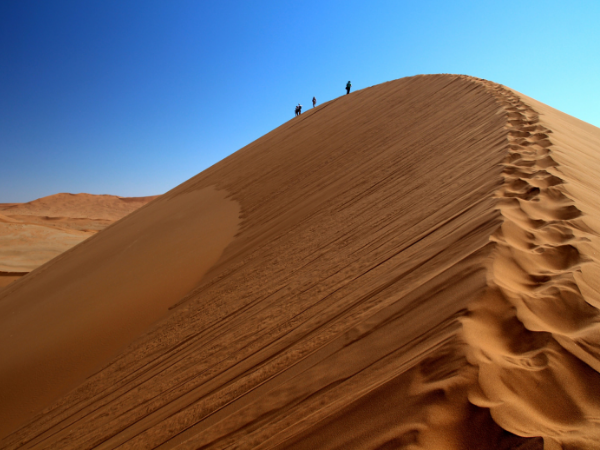 Namibia small group safari