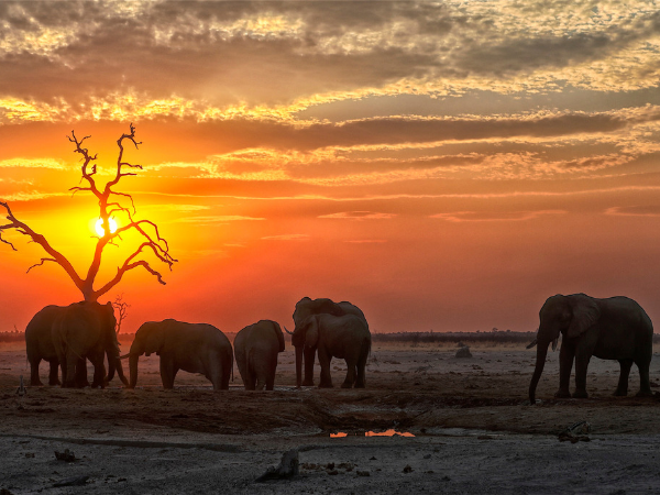 Namibia small group safari