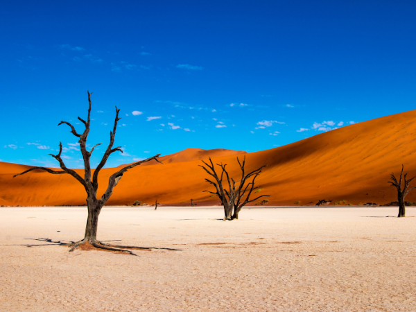 Namibia small group safari
