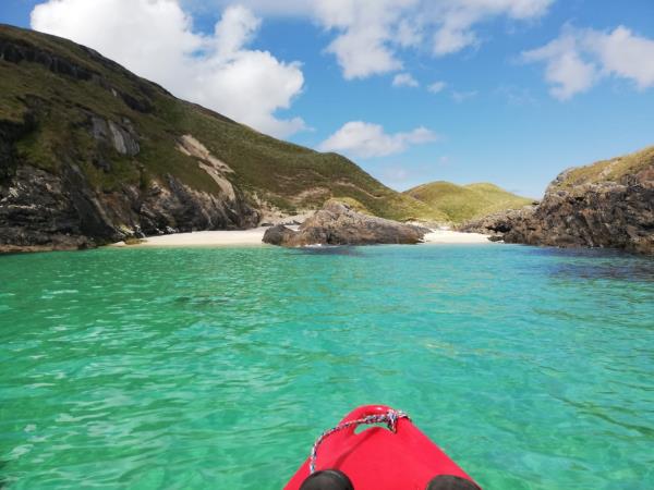 Wildlife sailing holiday in Scotland