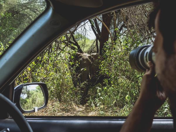 Botswana wildlife holiday for families