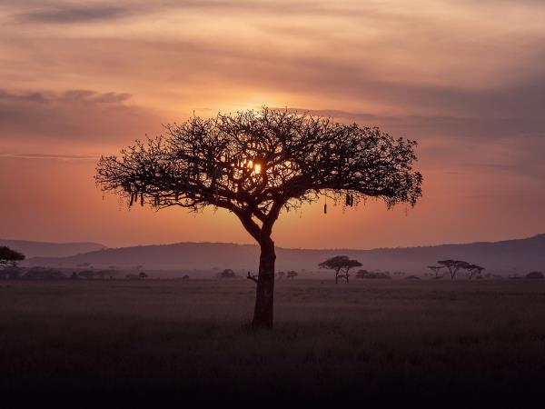 Kenya and Tanzania migration safari with Zanzibar