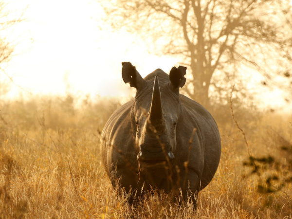 Classic South Africa holiday, Garden Route