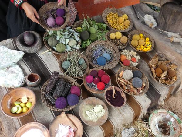 Machu Picchu and Galapagos holiday