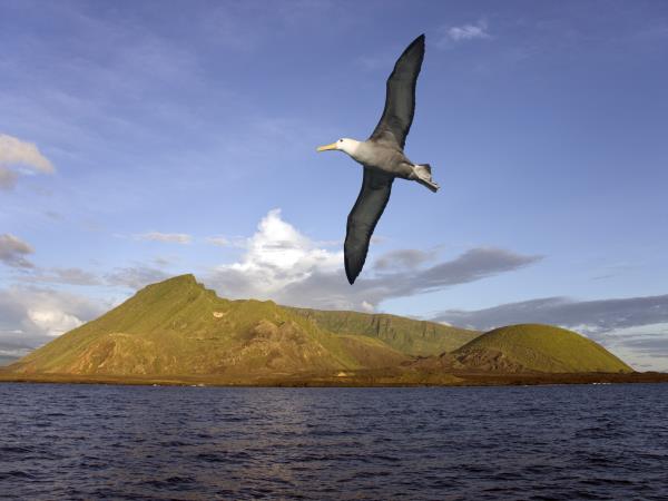 Machu Picchu and Galapagos holiday