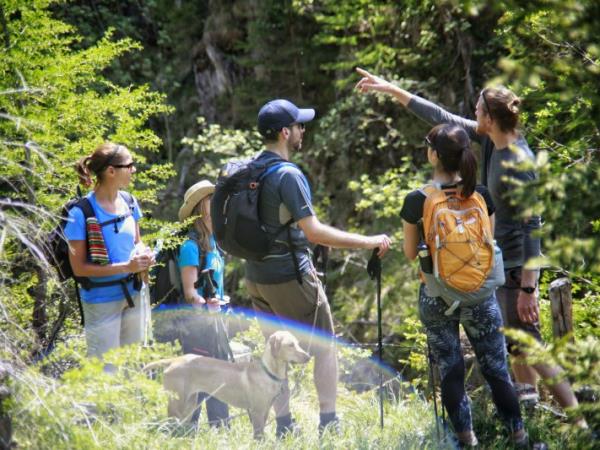 Austrian walking holiday