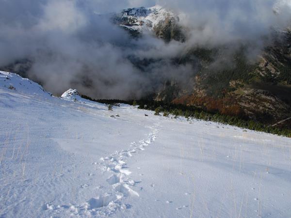 Guided snowshoeing holiday in the Pyrenees